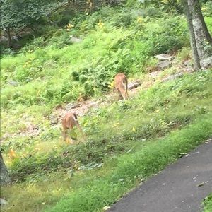 Meet your Posher, Matt